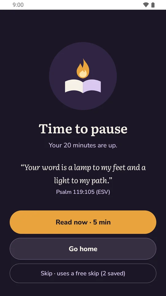 Time to pause: Your 20 minutes are up, with Read now, Go home and Skip.